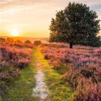 大众彩票入口welcome手机app下载